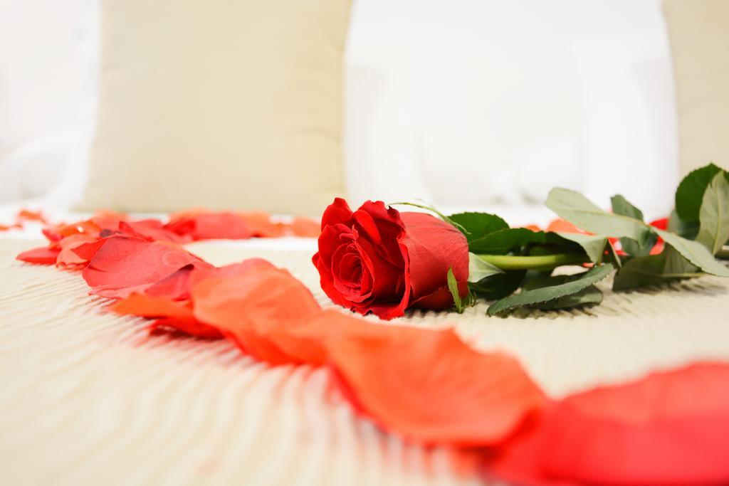 La Pasajera Hostal Boutique Conil De La Frontera Zewnętrze zdjęcie